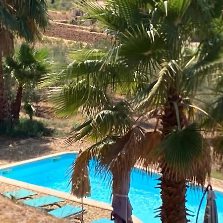 Appartement neuf Rez de jardin 45 m2 vue mer et vignes 10 mn des plages Le Beausset Extérieur photo