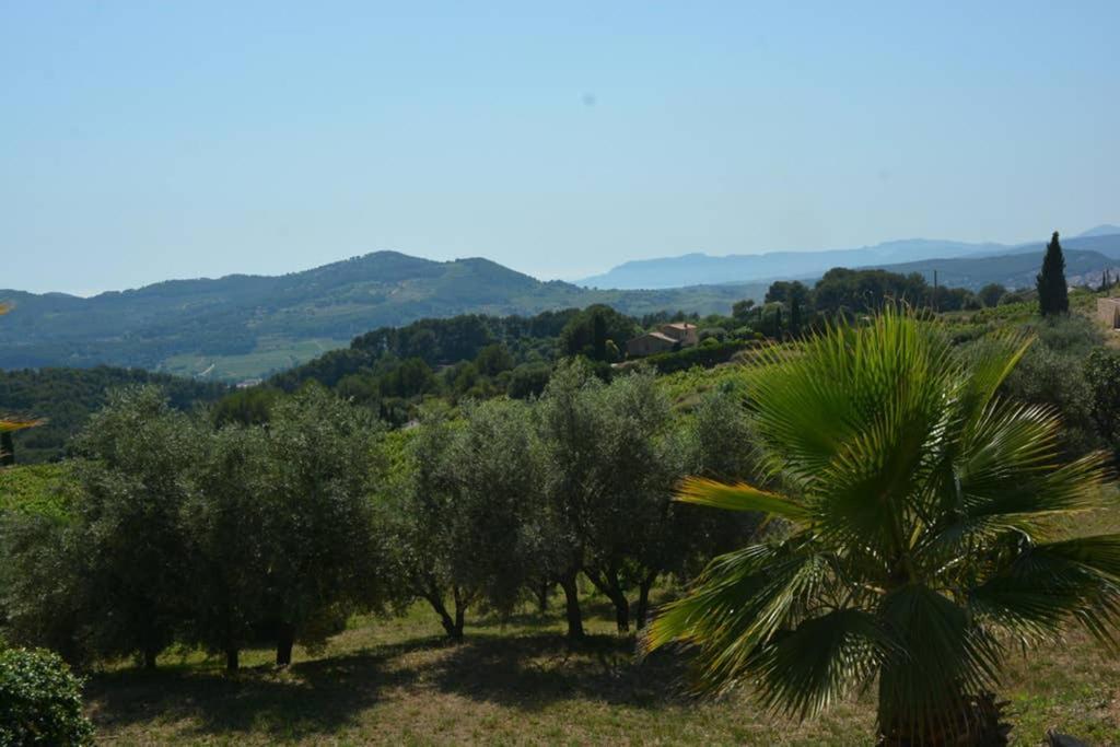 Appartement neuf Rez de jardin 45 m2 vue mer et vignes 10 mn des plages Le Beausset Extérieur photo